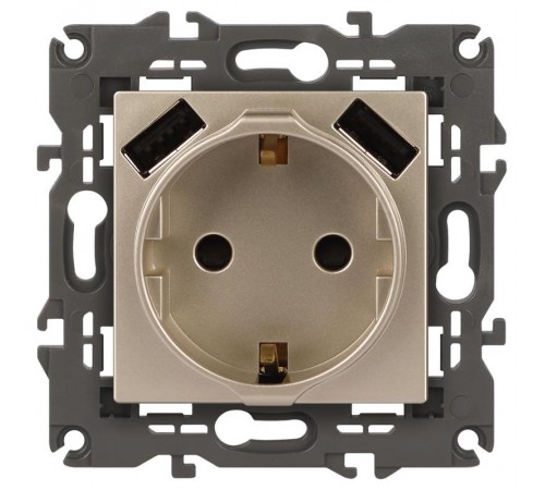 14-4109-04 Розетка без заземления+E 16A-250В, штор. с 2xUSB 5В-3А, Elegance, шампань (10/100/2000)  Б0047870  ЭРА