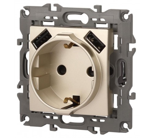 14-4109-04 Розетка без заземления+E 16A-250В, штор. с 2xUSB 5В-3А, Elegance, шампань (10/100/2000)  Б0047870  ЭРА