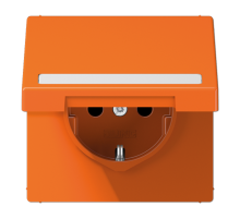 SCHUKO розетка с полем для надписи и крышкой LS1520BFNAKLO Jung