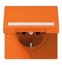 SCHUKO розетка с полем для надписи и крышкой LS1520BFNAKLO Jung