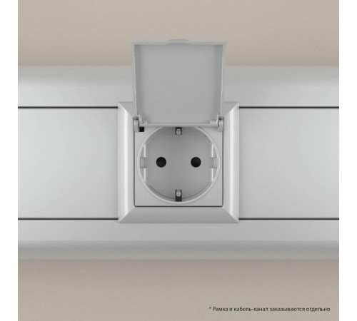 Розетка с крышкой модульная, 2P+E, с з/ш, "Avanti", "Закаленная сталь",2 модуля  4404012  DKC