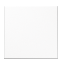 Одинарная клавиша для балансирных механизмов выключателей (кнопок), в комплекте с CD90HP (крепежный элемент), возможно IP44; дюропласт; белый; LS990 