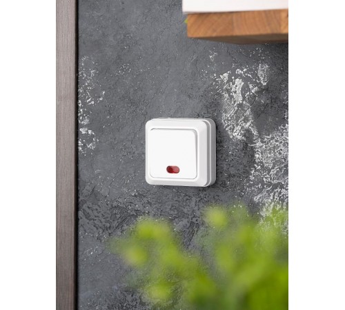 Рим Выключатель 1-клавишный с индикатором 10А белый EKF  ENV10-121-10  EKF