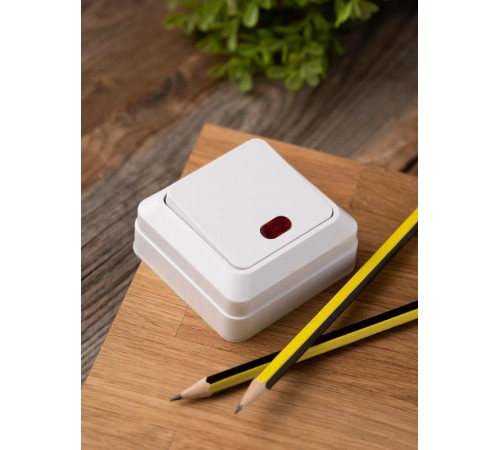 Рим Выключатель 1-клавишный с индикатором 10А белый EKF  ENV10-121-10  EKF