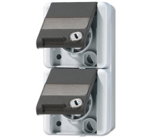 Двойная SCHUKO-розетка 16A 250V~ с полем для надписи; для накладного монтажа IP44 822NAWSL Jung