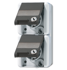 Двойная SCHUKO-розетка 16A 250V~ с полем для надписи; для накладного монтажа IP44 822NAWSL Jung