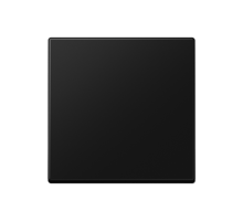 Центральная плата стандарт; термопласт; черный матовый  A1700BFSWM  Jung