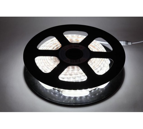Лента светодиодная LS2835-4,8-60-220-6500К-IP67-20m  Б0043095  ЭРА
