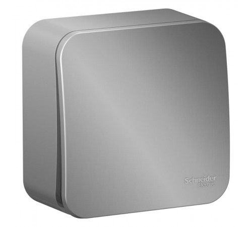 Blanca Алюминий О/У с изолирующей пластиной Выключатель 1-клавишный с самовозвратом, 10А, 250В  BLNCA101013  SE