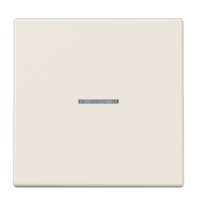 Одинарная клавиша с окошком для балансирных механизмов выключателей (кнопок), в комплекте с CD90HP (крепежный элемент), возможно IP44; дюропласт; слон