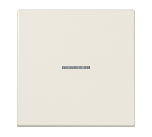 Одинарная клавиша с окошком для балансирных механизмов выключателей (кнопок), в комплекте с CD90HP (крепежный элемент), возможно IP44; дюропласт; слон