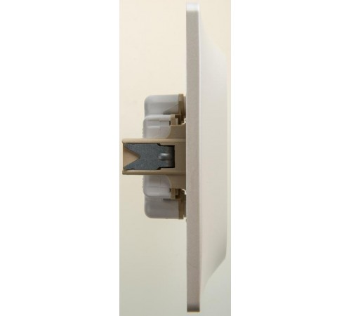 Glossa Перламутр Розетка 2-ая без заземления, 16А (в сборе)  GSL000620  SE