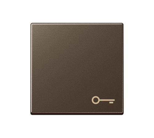 Клавиша с символом "замок"; мокка  A590TMO  Jung