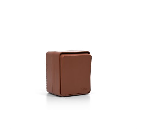 AtlasDesign Profi54 Терракотовый О/У Выключатель 1-клавишный с самовозвратом 10 АХ  ATN547015  SE