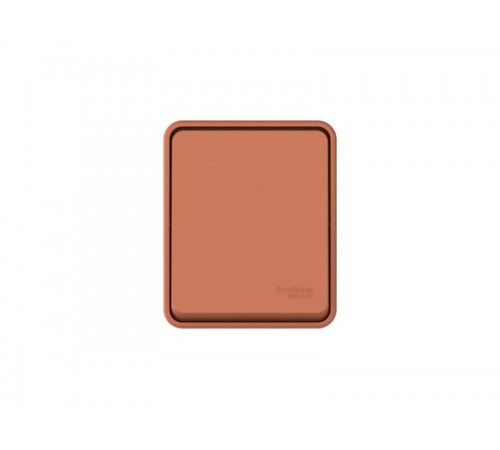 AtlasDesign Profi54 Терракотовый О/У Переключатель 1-клавишный 10 АХ  ATN547061  SE