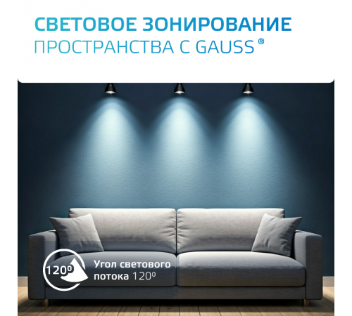 Светильник светодиодный трековый цилиндр GU10 220V IP20 60*145мм черный однофазный  TR011  Gauss