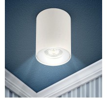 Светильник трековый OL1 GU10 WH накладной, GU10, D80*100мм, белый  Б0041503  ЭРА