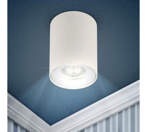 Светильник трековый OL1 GU10 WH накладной, GU10, D80*100мм, белый  Б0041503  ЭРА