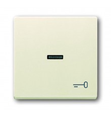 Клавиша для мех. 1-кл.выкл./перекл./кнопки, с символом "КЛЮЧ", серия solo/future, цвет savanne/слоновая кость  1751-0-2747   2CKA001751A2747  ABB