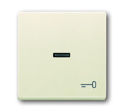 Клавиша для мех. 1-кл.выкл./перекл./кнопки, с символом "КЛЮЧ", серия solo/future, цвет savanne/слоновая кость  1751-0-2747   2CKA001751A2747  ABB