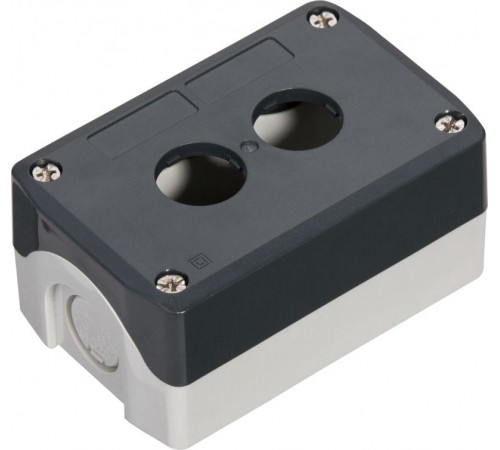 Кнопочный пост SALD02, 2 отверстия, серый  SALD02  Systeme Electric