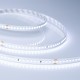 Лента светодиодная IC 2-50000 48V Cool 8K 12mm (2835, 144 LED/m, LUX)  026980  Arlight