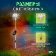 Светильник садовый уличный ERASF22-19 Лилия на солнечных батареях 75 см  Б0053379  ЭРА