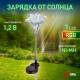 Светильник садовый уличный ERASF22-19 Лилия на солнечных батареях 75 см  Б0053379  ЭРА