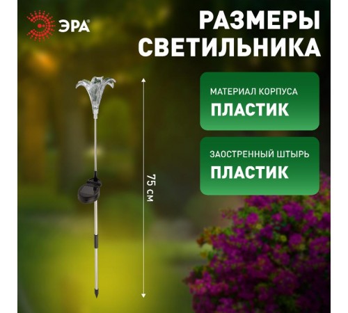 Светильник садовый уличный ERASF22-19 Лилия на солнечных батареях 75 см  Б0053379  ЭРА