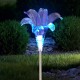 Светильник садовый уличный ERASF22-19 Лилия на солнечных батареях 75 см  Б0053379  ЭРА
