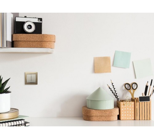 Valena Сл. кость Выключатель 2-клавишный  774305  Legrand