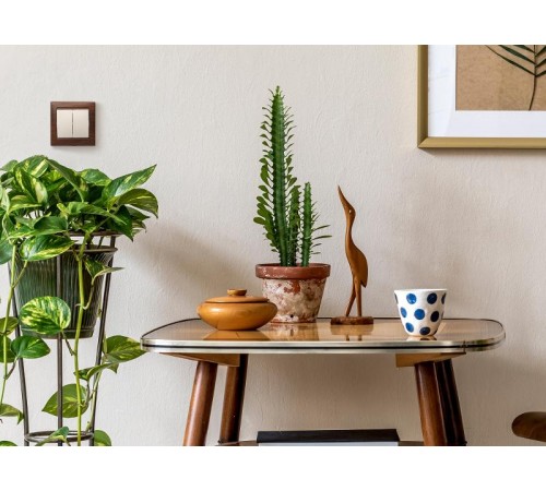 Valena Сл. кость Выключатель 2-клавишный  774305  Legrand