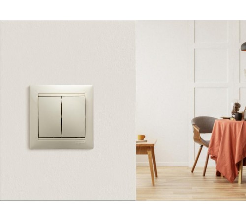 Valena Сл. кость Выключатель 2-клавишный  774305  Legrand