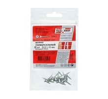 Саморез ШУц 2,5х13 пот. гол. (25 шт) - пакет ( 0,01 кг)  102404  Tech-KREP