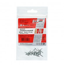 Саморез ШУц 2,5х13 пот. гол. (25 шт) - пакет ( 0,01 кг)  102404  Tech-KREP