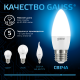 Лампа светодиодная Свеча 6.5W 550lm 6500К E27 LED 1/10/100  103102307  Gauss