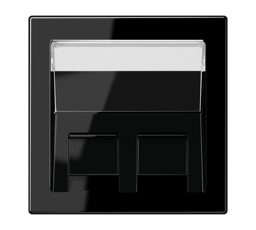 накладка для модульных разъемов LS569-30BFPLSW Jung