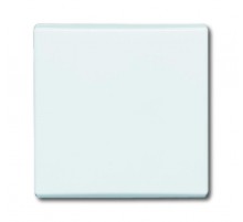 Клавиша для механизма 1-клавишного выкл./перекл./кнопки (IP44), серия Allwetter 44, цвет альпийский белый  1731-0-3991   2CKA001731A3991  ABB