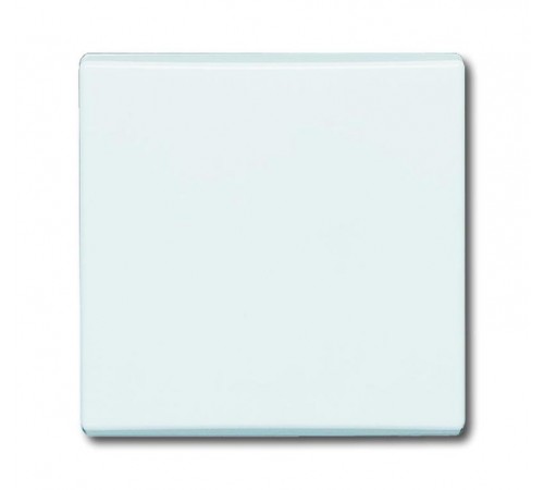 Клавиша для механизма 1-клавишного выкл./перекл./кнопки (IP44), серия Allwetter 44, цвет альпийский белый  1731-0-3991   2CKA001731A3991  ABB