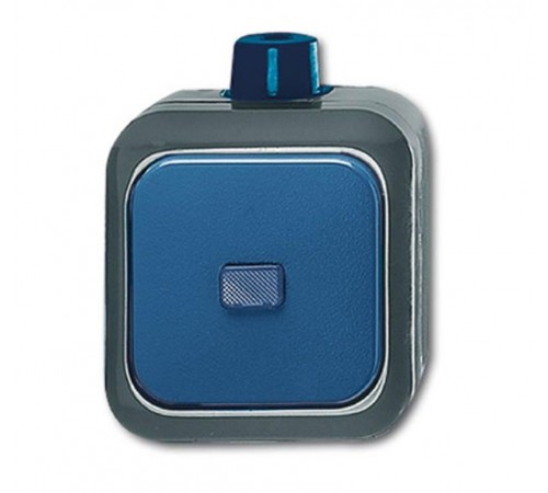 Переключатель 1-клавишный, IP66, для открытого монтажа, для работы в агрессивных средах, серия Busch-Duro 2000 WD  1084-0-0797   2CKA001084A0797  A