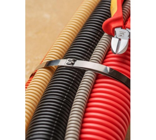 Хомут AISI 304 из нержавеющей стали, 12x840 (100 шт.) FlexLock PROximaplc-fl-tss-304-12x840EKF