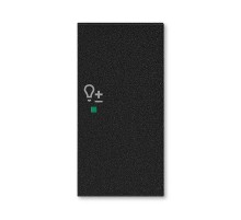 ABB Levit Антрацит Клавиша 2-ая правая с символом светорегулятора free@home  6220H-A02204 63  2CHH622204A4063  ABB