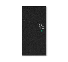 ABB Levit Антрацит Клавиша 2-ая левая с символом светорегулятора free@home  6220H-A02104 63  2CHH622104A4063  ABB