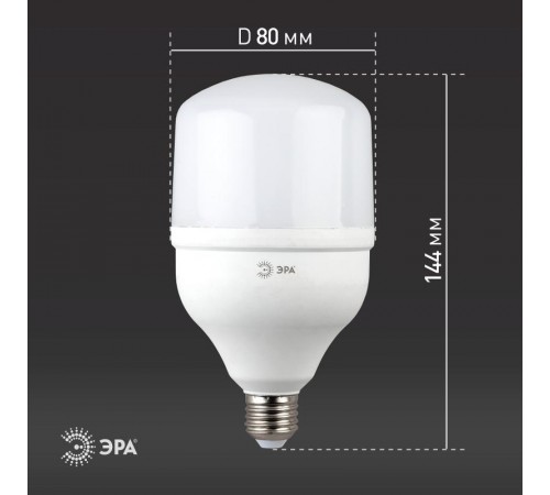 Лампа светодиодная LED 20Вт Е27 220В 6500К smd POWER  Б0027011  ЭРА