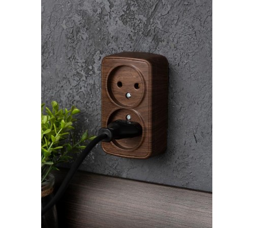 Розетка 2-местная ОП Минск 10А без заземления тёмное дерево EKF  EGR10-102-40  EKF