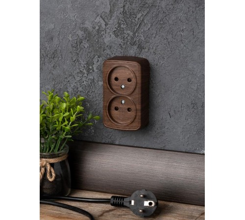 Розетка 2-местная ОП Минск 10А без заземления тёмное дерево EKF  EGR10-102-40  EKF