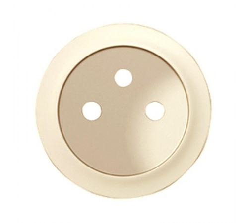 Celiane Сл. кость Накладкарозетки, франц. станд.  066221  Legrand