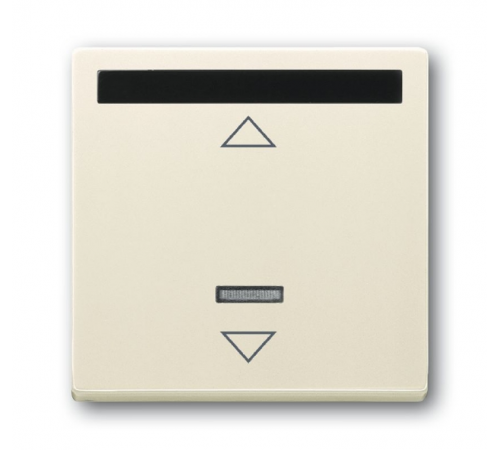 ИК-приёмник с марк. для 6953 U, 6411 U, 6411 U/S, 6550 U-10x, 6402 U, серия solo/future, цвет savanne/сл. кость  6020-0-1332   2CKA006020A1332  ABB