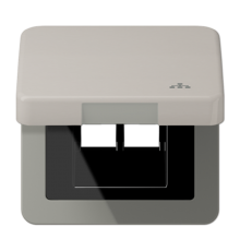 Накладка и крышка для двойных UAE розеток с символом "сеть"; металл; платина  CD590KLLANPT  Jung