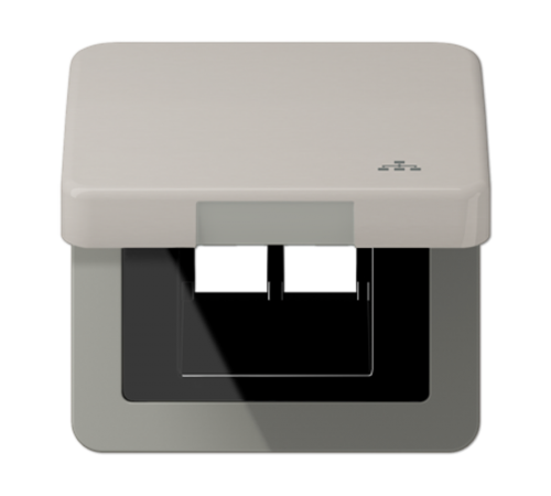 Накладка и крышка для двойных UAE розеток с символом "сеть"; металл; платина  CD590KLLANPT  Jung